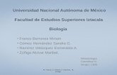 Universidad Nacional Autónoma de México Facultad de Estudios Superiores  Iztacala Biología