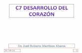 C7 DESARROLLO DEL CORAZ“N