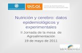 Nutrición y cerebro: datos epidemiológicos y experimentales