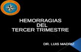 HEMORRAGIAS  DEL  TERCER TRIMESTRE
