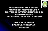 OMAR ALEXANDER BALDOVINO BELTRAN 11071068