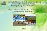 Instituto Nacional de Conservación y Desarrollo Forestal, Áreas Protegidas y Vida Silvestre