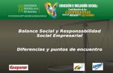 Balance Social y Responsabilidad Social Empresarial Diferencias y puntos de encuentro