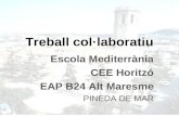 Escola Mediterrània CEE Horitzó EAP B24 Alt Maresme PINEDA DE MAR