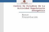 Centro De Estudios De La Actividad Regulatoria Energética