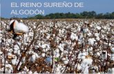 El Reino sureño de algodón