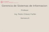 Profesor:  Ing. Pedro Chávez  Farfán Semana 6