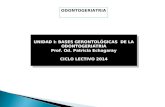 UNIDAD I: BASES GERONTOLÓGICAS  DE LA ODONTOGERIATRIA Prof.  Od . Patricia  Echagaray