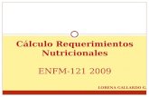 Cálculo Requerimientos Nutricionales ENFM-121 2009