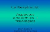 La Respiració. Aspectes anatòmics  i fisiològics Joan Eudald  Castelltort Solernou