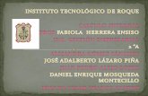 INSTITUTO TECNOLÓGICO DE ROQUE CALCULO INTEGRAL  Prof. FABIOLA   HERRERA ENSISO