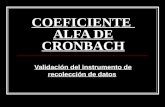 COEFICIENTE  ALFA DE CRONBACH