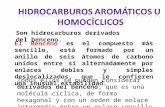Hidrocarburos  aromáticos u  homocíclicos