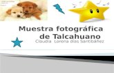 Muestra fotográfica de Talcahuano
