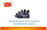 MISIÓN NÚCLEO SANTO DOMINGO SAVIO