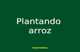 BA_0276_Plantando Arroz
