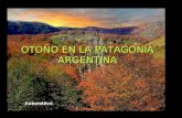 OTOÑO EN LA  PATAGONIA ARGENTINA