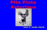 Pita Pinta Asturiana