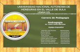 UNIVERSIDAD NACIONAL AUTONOMA DE HONDURAS EN EL VALLE DE SULA  UNAH-VS