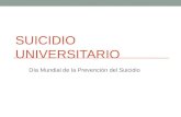Suicidio Universitario