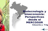 Biotecnología y bioeconomía: Perspectivas desde el MERCOSUR