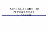 Generalidades de Protozoarios  y Amebas