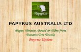 PAPYRUS AUSTRALIA LTD