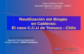 Reutilización del Biogás  en Calderas: El caso C.C.U de Temuco - Chile