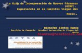 La Guía de Incorporación de Nuevos Fármacos (GINF).  Experiencia en el Hospital Virgen del Rocío .