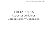 LAEMPRESA Aspectos Jurídicos, Comerciales y Generales.