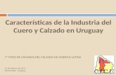 Características de la Industria del Cuero y Calzado en Uruguay