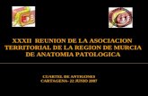 XXXII  REUNION DE LA ASOCIACION  TERRITORIAL DE LA REGION DE MURCIA DE ANATOMIA PATOLOGICA