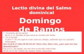 Lectio divina del Salmo dominical Domingo  de Ramos