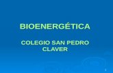 BIOENERGÉTICA COLEGIO SAN PEDRO CLAVER