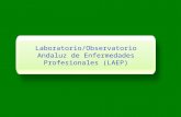 Laboratorio/Observatorio Andaluz de Enfermedades Profesionales (LAEP)