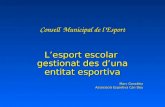 Consell Municipal de l’Esport