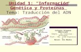 Unidad 1: “Información Genética y Proteínas” Tema: Traducción del ADN