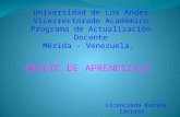 Universidad de Los Andes Vicerrectorado Académico Programa de Actualización Docente
