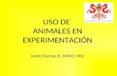 USO DE  ANIMALES EN EXPERIMENTACIÓN Ivette Dueñas B., DMVZ,  MSc