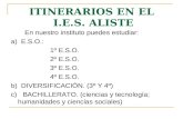 ITINERARIOS EN EL  I.E.S. ALISTE