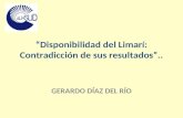 “Disponibilidad del Limarí: Contradicción de sus resultados”..