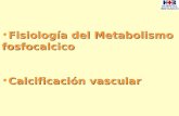 Fisiología del Metabolismo fosfocalcico Calcificación vascular