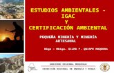 GOBIERNO REGIONAL MOQUEGUA  DIRECCIÓN REGIONAL DE ENERGÍA Y MINAS