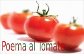 Poema al Tomate