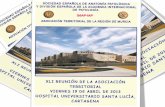Asociación Territorial de la Región de Murcia de la Sociedad Española de Anatomía Patológica