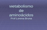 M etabolismo de aminoácidos Prof Lorena Bruna