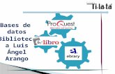 Bases de datos Biblioteca Luis Ángel Arango