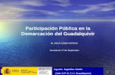 Participación Pública en la Demarcación del Guadalquivir