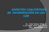 ASPECTOS CUALITATIVOS DE  INTERVENCIÓN EN LOS CAR Ps.  Irene Pareja Valencia
