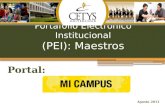 Portafolio Electrónico Institucional (PEI): Maestros